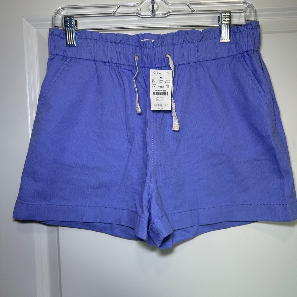 Crewcuts Kids Purple Drawstring Shorts